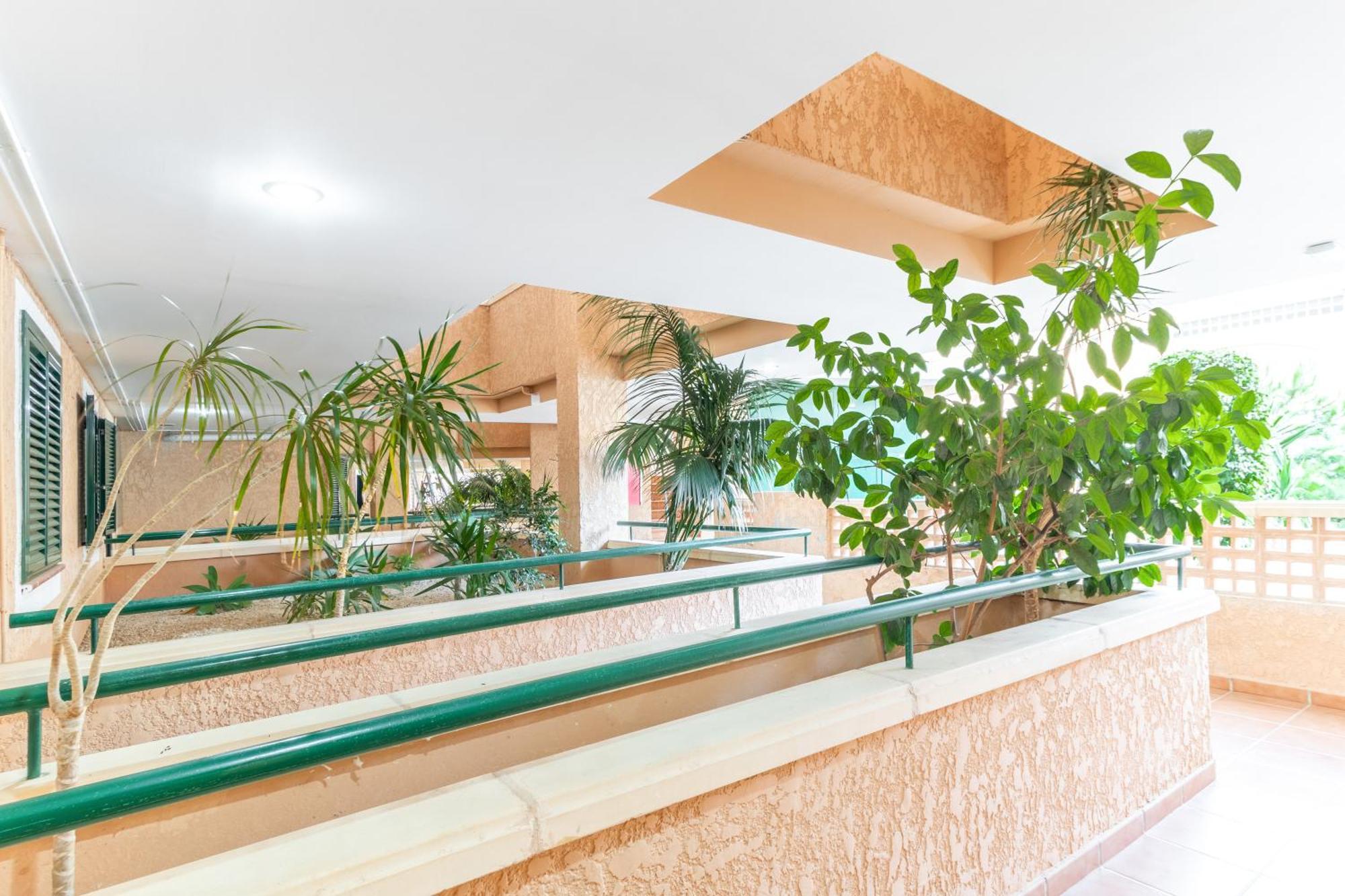 Magnificent Penthouse Alteamascarat Apartment Bagian luar foto